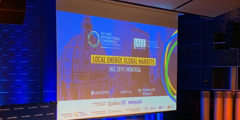 Energy Efficiency Research at the Conference of the International Association for Energy Economics